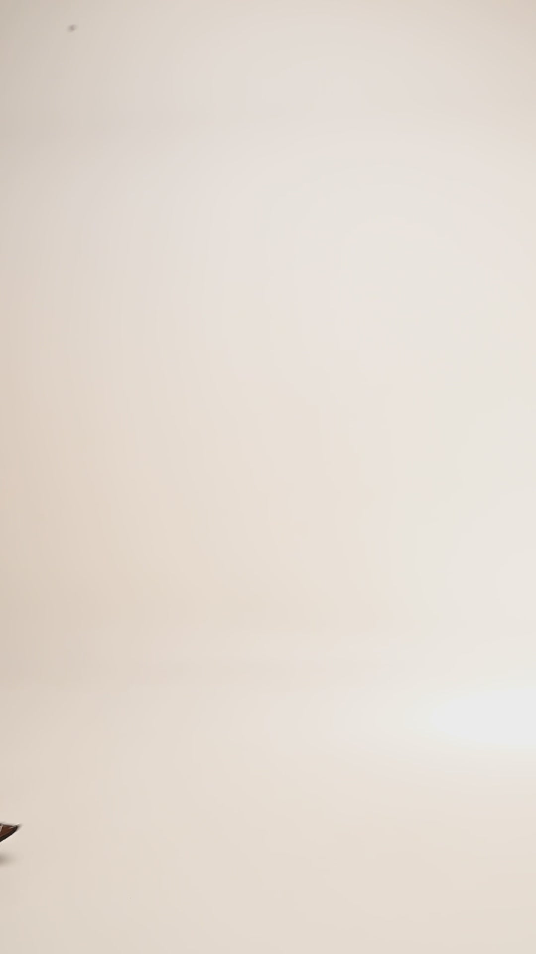 Craftsman Jacket in Brown